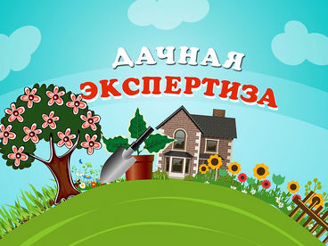 Дачная экспертиза