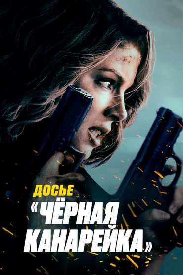 Досье Досье