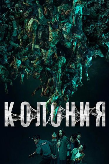 Колония