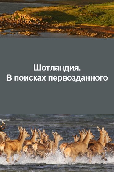 Шотландия. В поисках первозданного