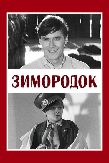 Зимородок