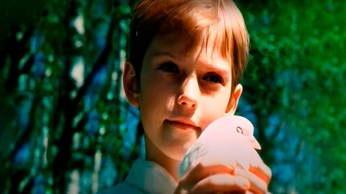 Дикие звери мира