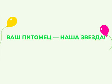 Ваш питомец - наша звезда!