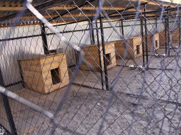 Приют. Битва за жизнь Приют. Битва за жизнь