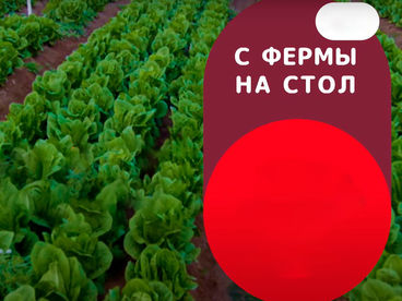 С фермы на стол