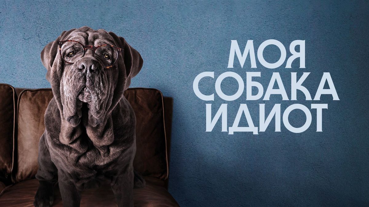 Моя собака идиот