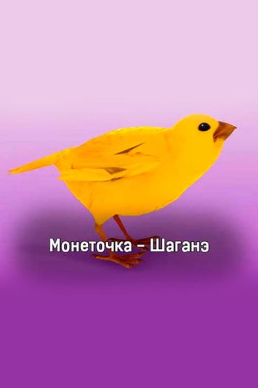 Монеточка - Шаганэ