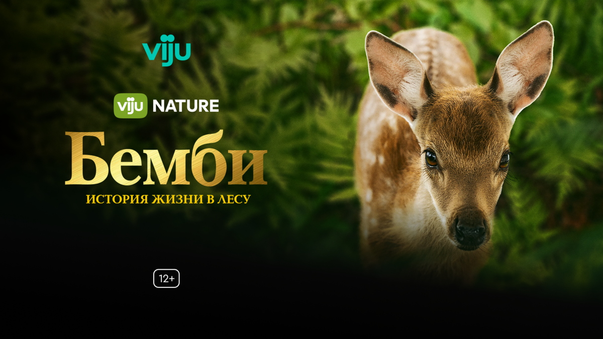Бемби. История жизни в лесу