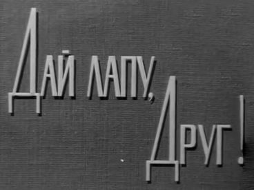 Дай лапу, Друг!