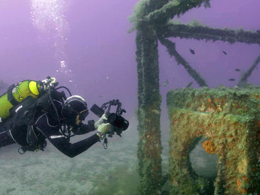 Подводные съёмки The explorers Подводные съёмки The explorers