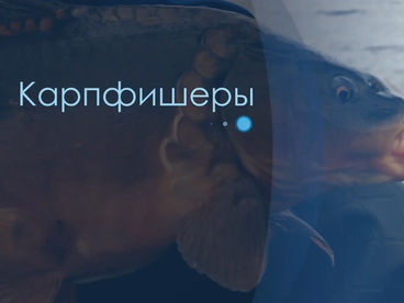 Карпфишеры Карпфишеры