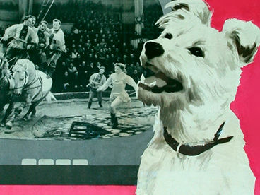 Барбос в гостях у Бобика