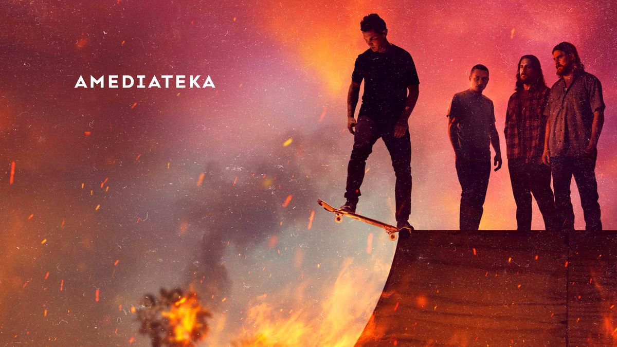 По волчьим законам