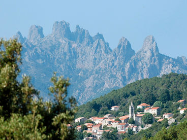 Корсиканская Бавелла Корсиканская Бавелла