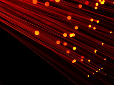 Ферма Аль-Зайтуна в Саудовской Аравии