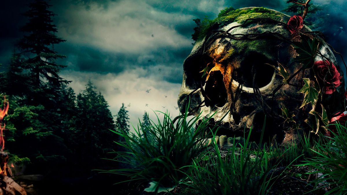 Ночь страха