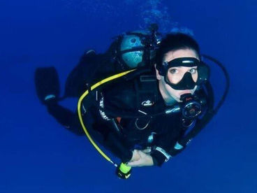 Акулы Сары Акулы Сары