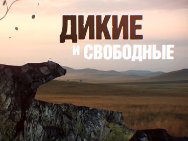 Дикие и свободные Дикие и свободные
