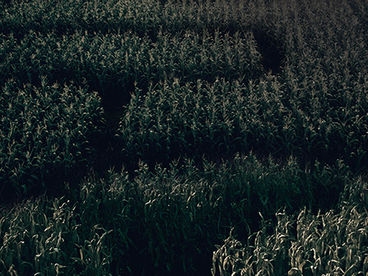 Клаустрофобы. Долина дьявола