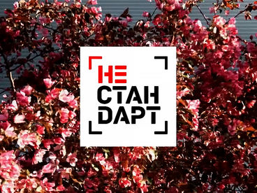 Нестандарт Нестандарт