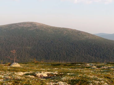 Гора Лувеньгские Тундры