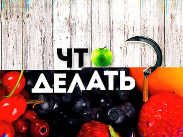 Что делать Что делать