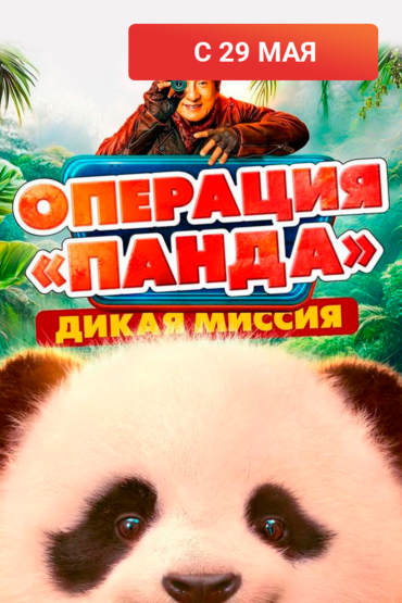 Операция «Панда». Дикая миссия