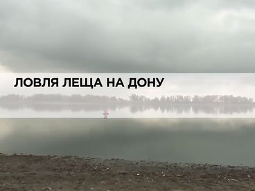 Ловля леща на Дону