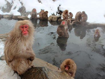 Природные парки