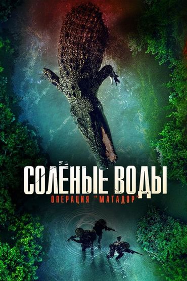 Солёные воды: Операция «Матадор»
