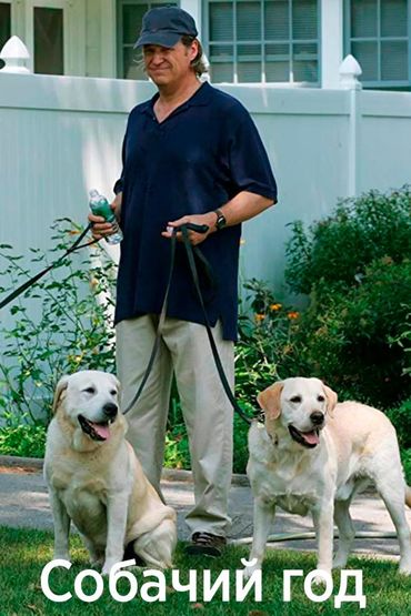 Собачий год