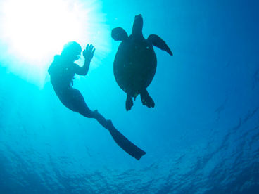 Затаив дыхание Затаив дыхание