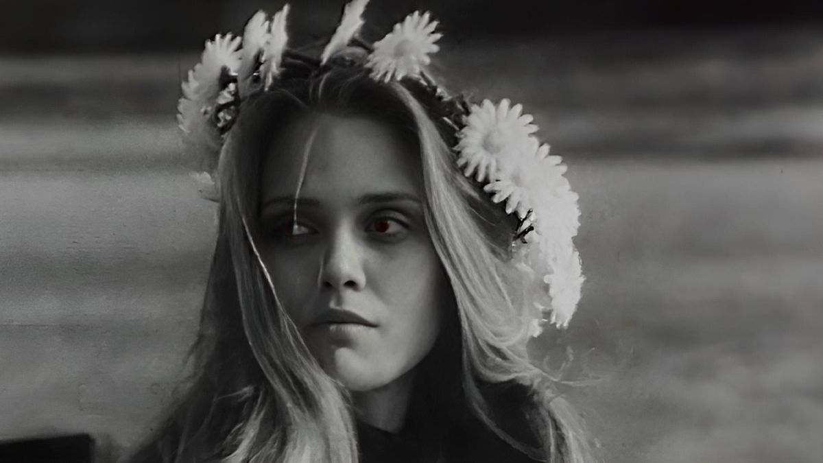 Белый аист летит