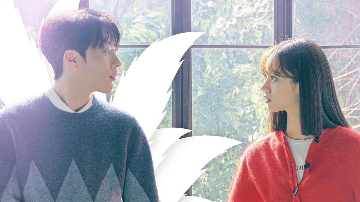 Мой сосед – кумихо