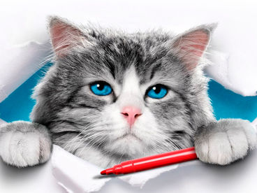 Девять жизней