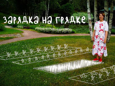 Зарядка на грядке Зарядка на грядке