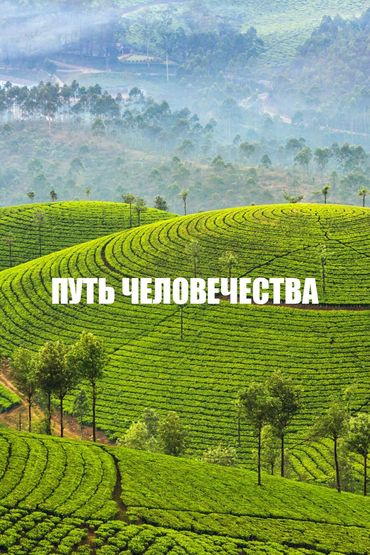 Путь человечества