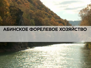 Абинское форелевое хозяйство