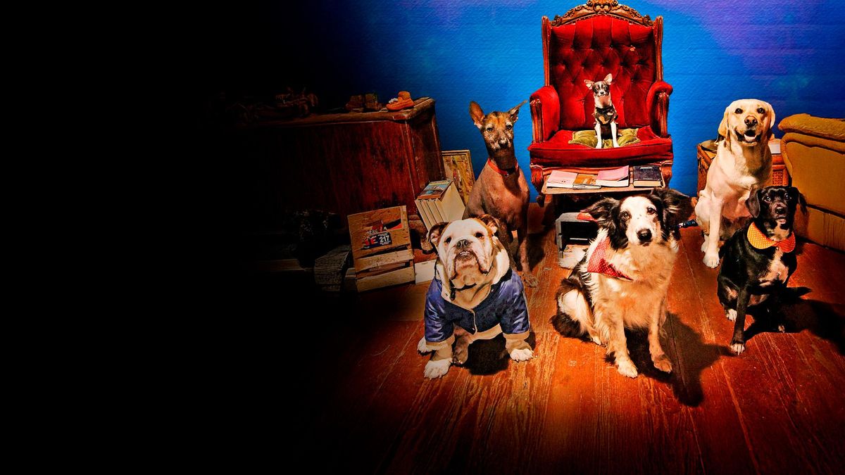 Пушистый патруль