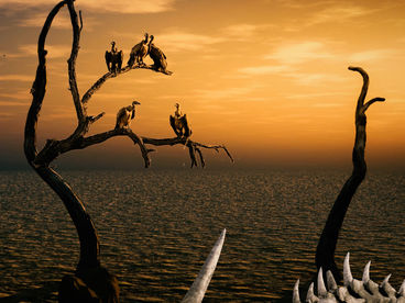 Санитары природы Санитары природы