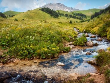 Река Цица Река Цица