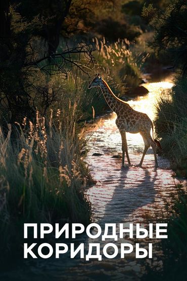Природные коридоры
