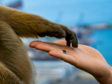 Сделать мир лучше Сделать мир лучше