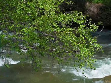 Тургеньское ущелье