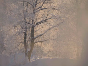 Источник Красный ключ Источник Красный ключ