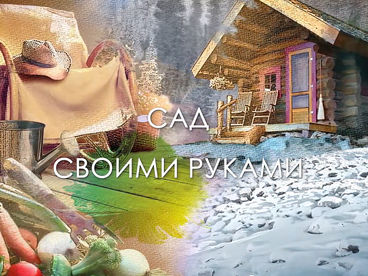 Сад своими руками