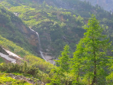 В долине озера Элизабет В долине озера Элизабет