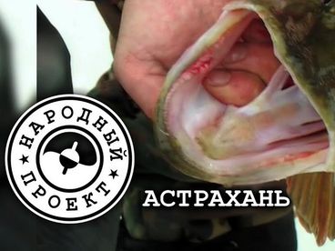 Народный проект. Астрахань