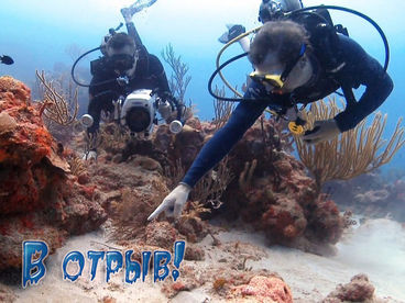 В отрыв! В отрыв!