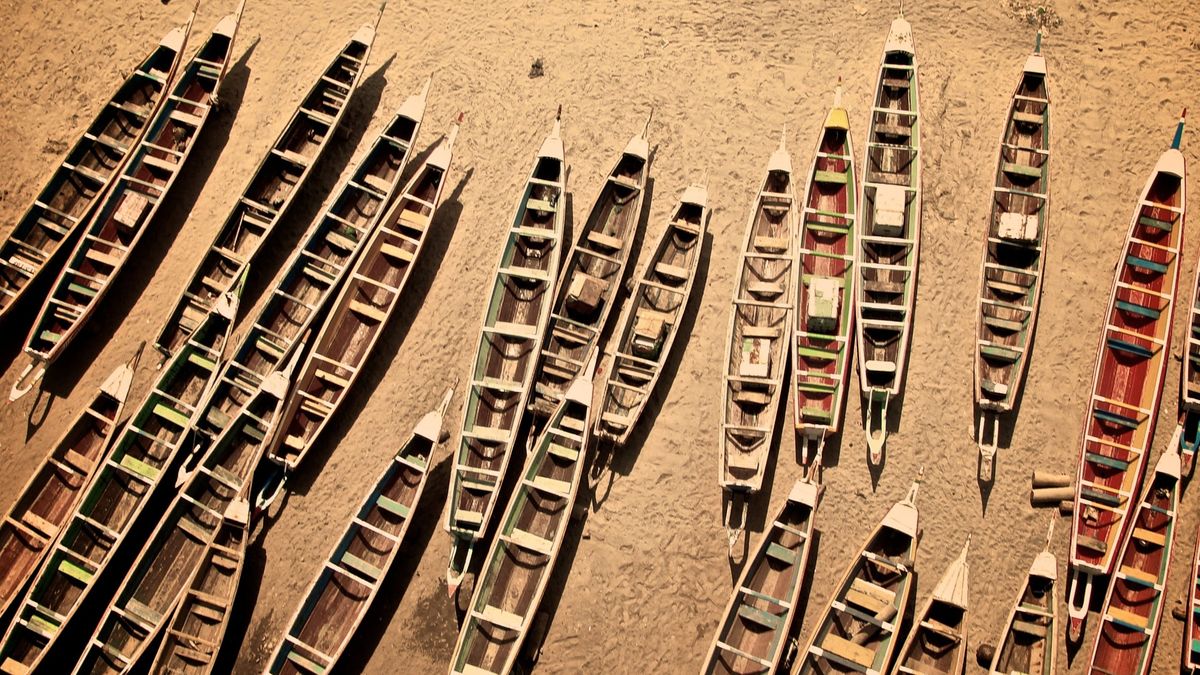 Такой разный Синегал